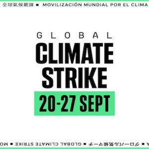 Bainbridge Global Climate Strike