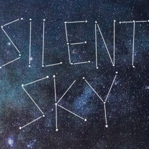 Silent Sky: April 8 - 17