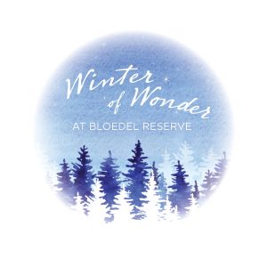 Winter of Wonder