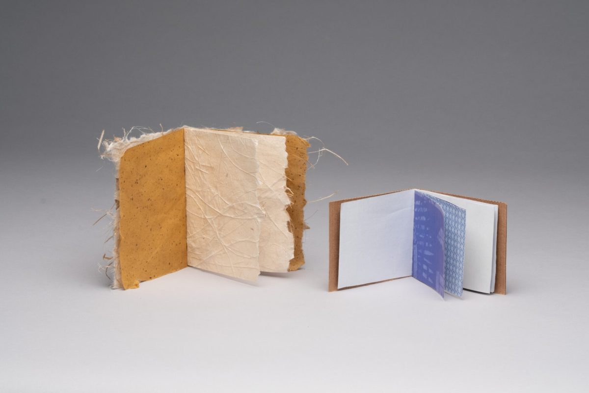 Gallery 3 - Artist’s Books Out Loud: Readings from the Cynthia Sears Collection