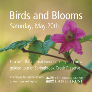 Birds and Blooms Walk at Springbrook Creek Preserve
