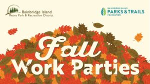 Red Pine Park Work Party