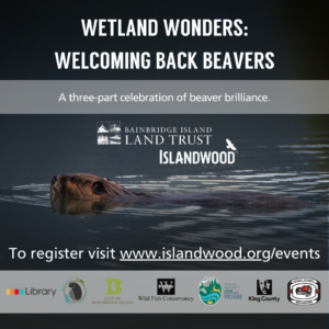 Wetland Wonders: Welcoming Back Beavers - Children's Book Reading