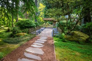 April Focus Walk: Japanese Garden